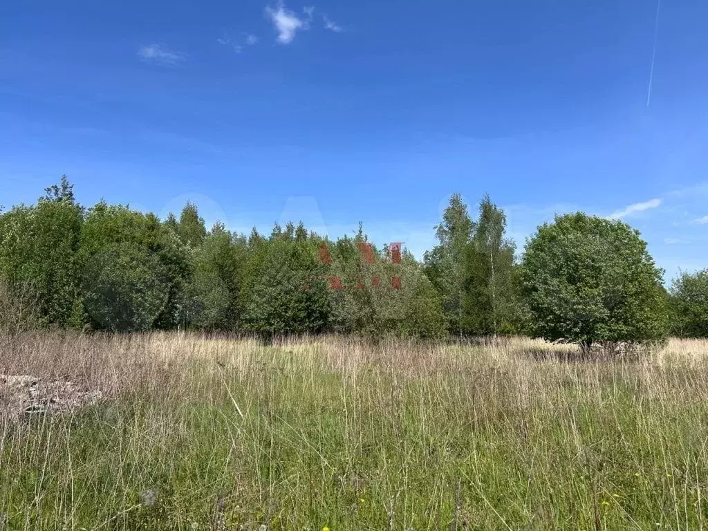 Участок 12 сот. (ИЖС) - Фото 1