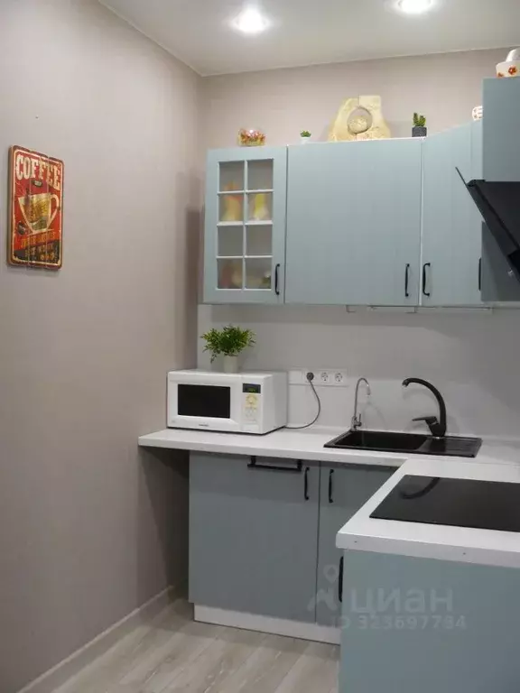 2-к кв. Московская область, Подольск городской округ, д. Борисовка ул. ... - Фото 2