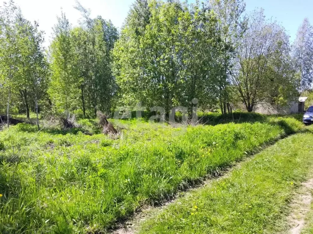 Участок в Брянская область, Брянский район, Снежское с/пос, с. ... - Фото 1