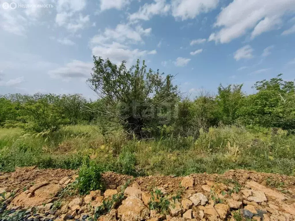 Участок в Родионово-Несветайский район, Кутейниковское сельское ... - Фото 1