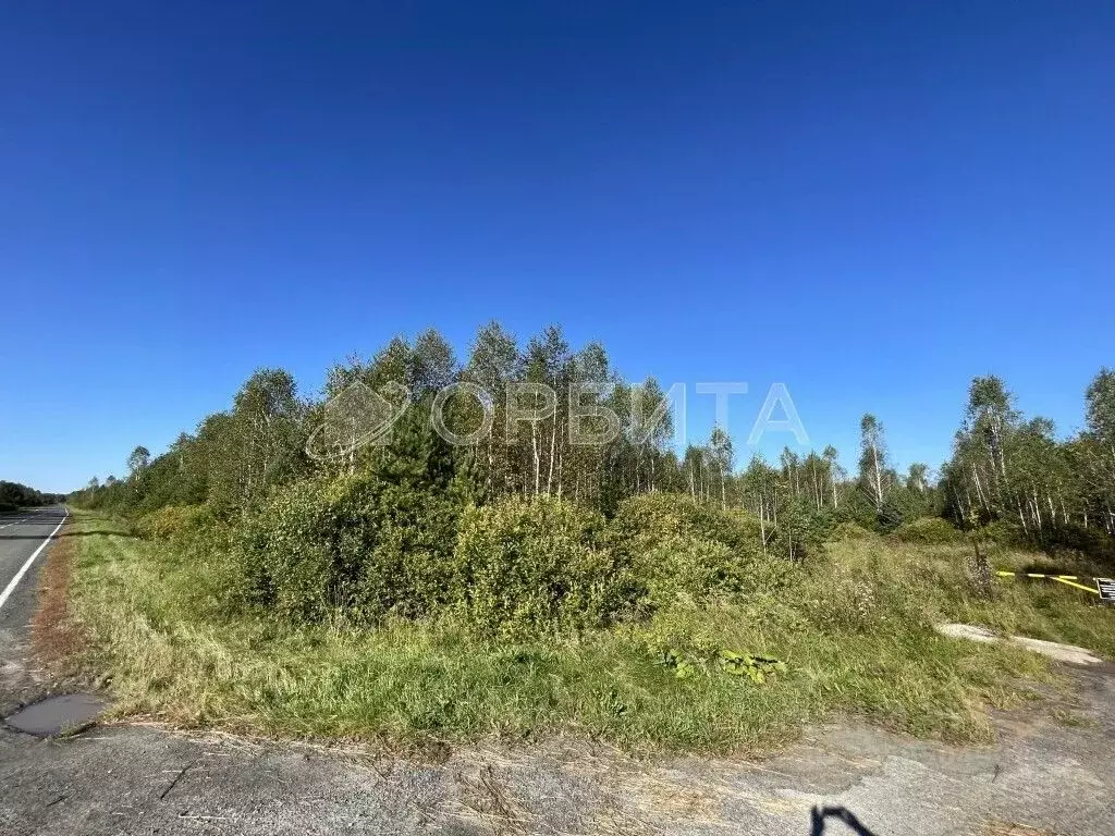 Участок в Тюменская область, Нижнетавдинский муниципальный округ, д. ... - Фото 2