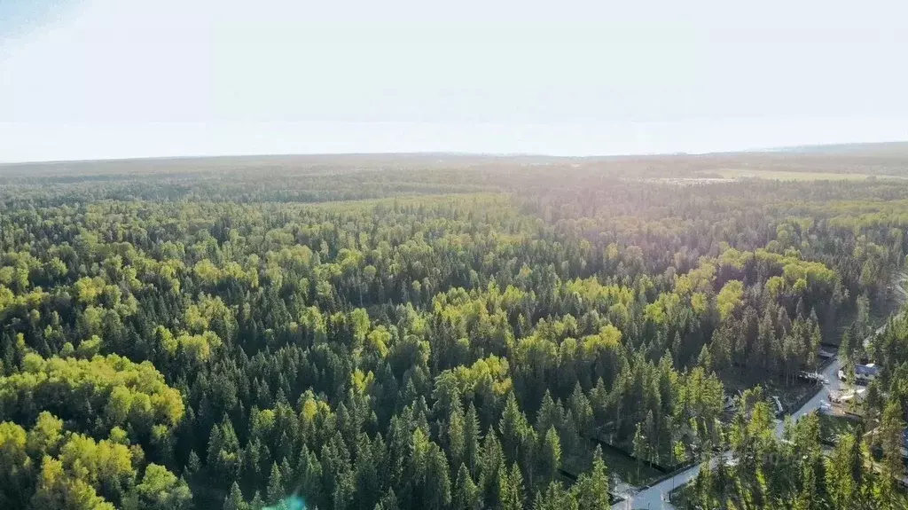 Участок в Московская область, Истра муниципальный округ, с. Павловская ... - Фото 1