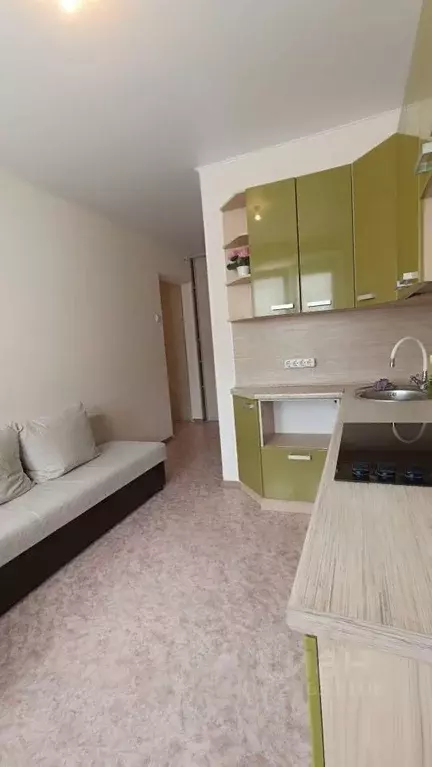 1-к кв. Челябинская область, Миасс просп. Макеева, 87 (40.7 м) - Фото 1