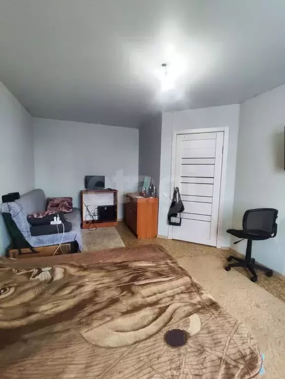 1-к кв. Курганская область, Шадринск ул. Василия Черемисина, 2А (30.5 ... - Фото 1