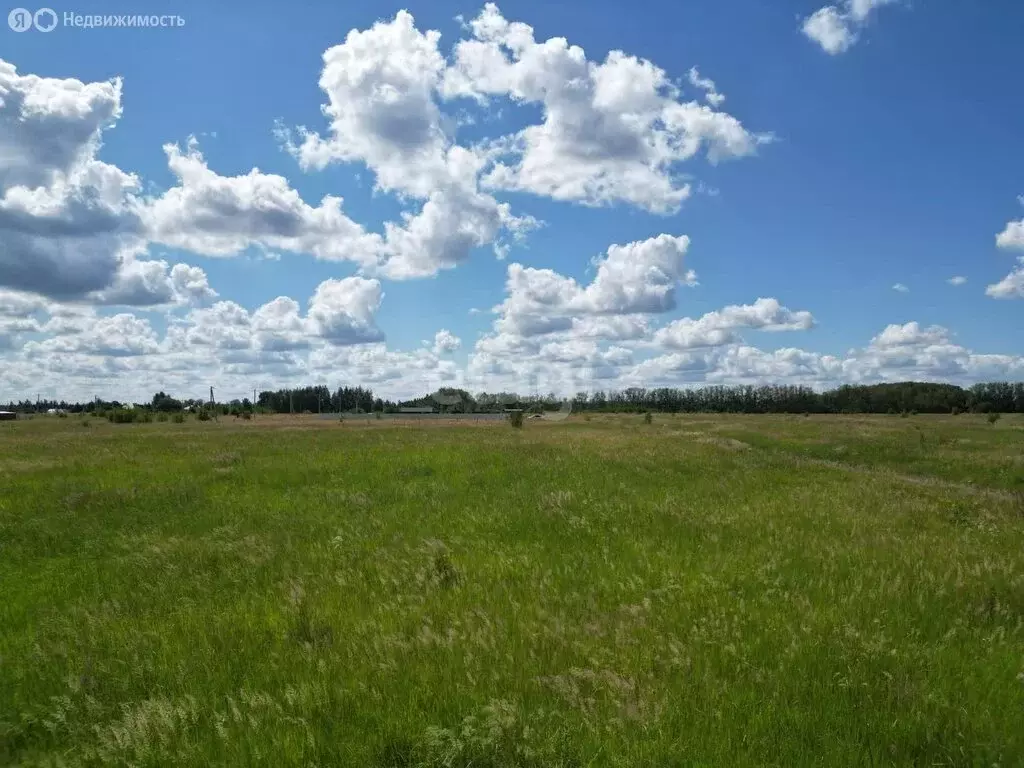 Участок в Московская область, городской округ Коломна, деревня Шапкино ... - Фото 1