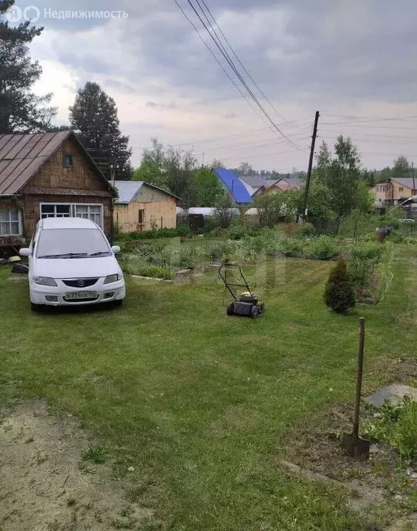 Участок в Новосибирск, СТ Берёзовая Роща (8.7 м) - Фото 1