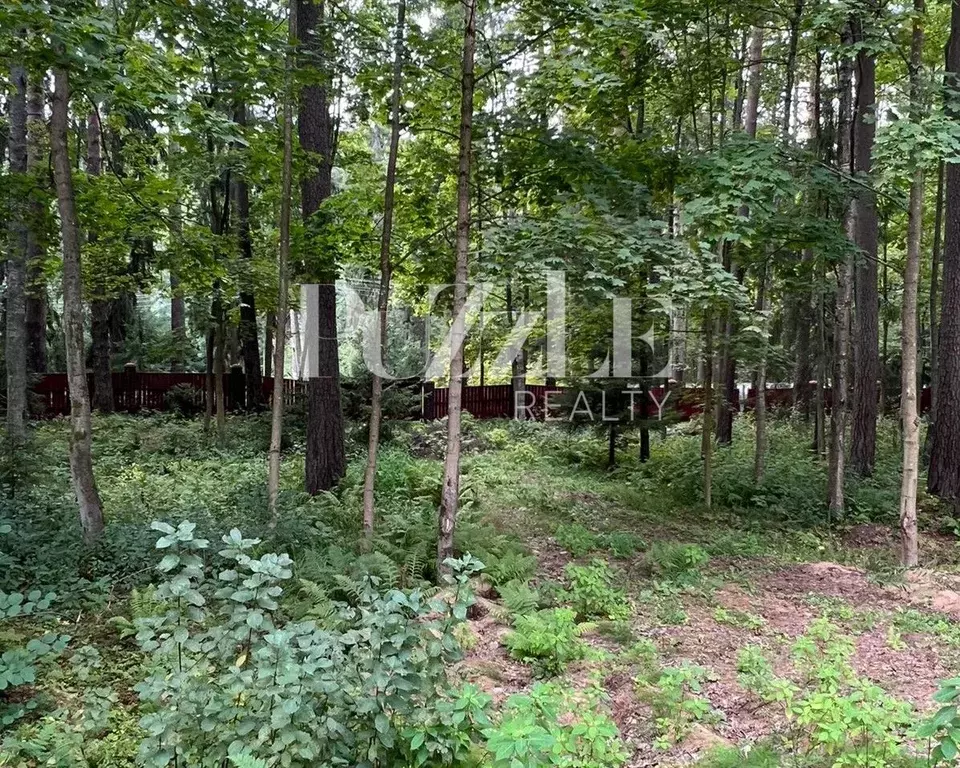 Участок в Санкт-Петербург, Санкт-Петербург, Зеленогорск Приморское ш., ... - Фото 1