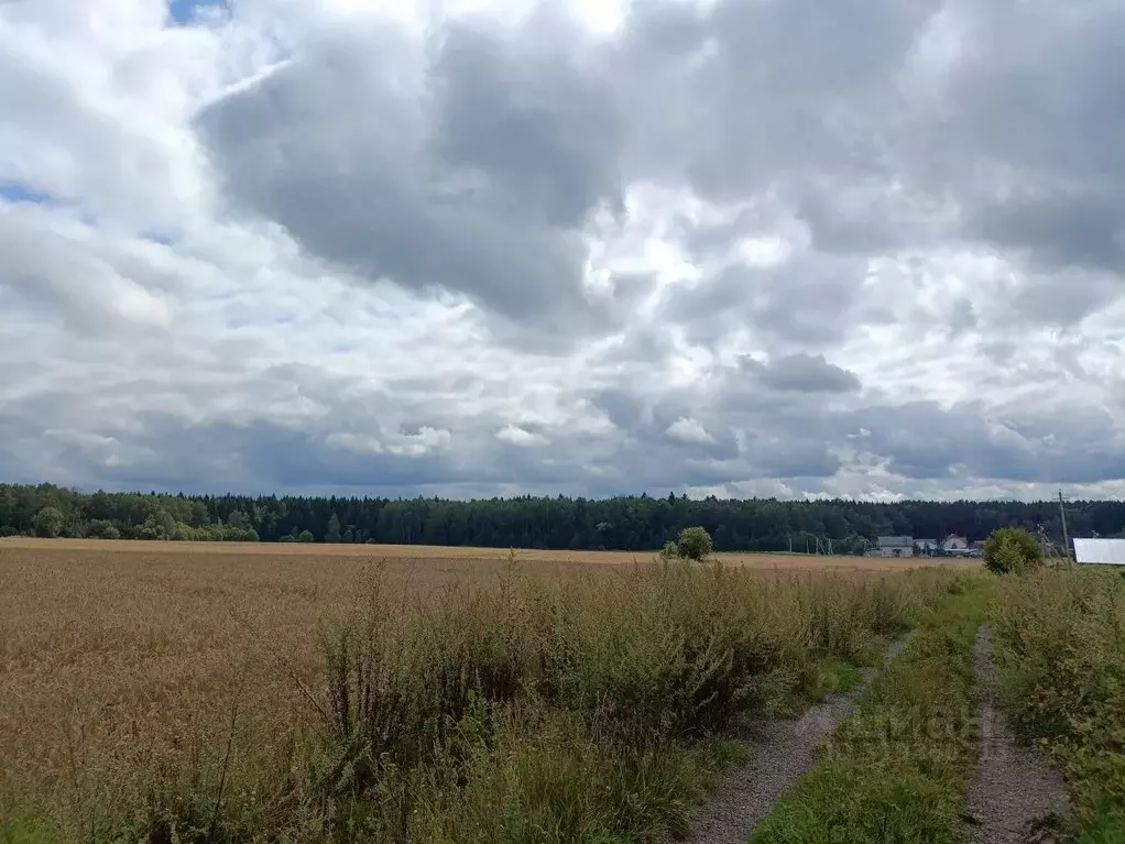 Участок в Калужская область, Жуковский район, д. Корсаково ул. Садовая ... - Фото 2