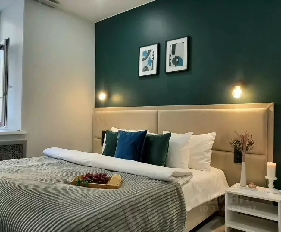 1-к кв. Санкт-Петербург Кузнечный пер., 19-21 (18.0 м) - Фото 1