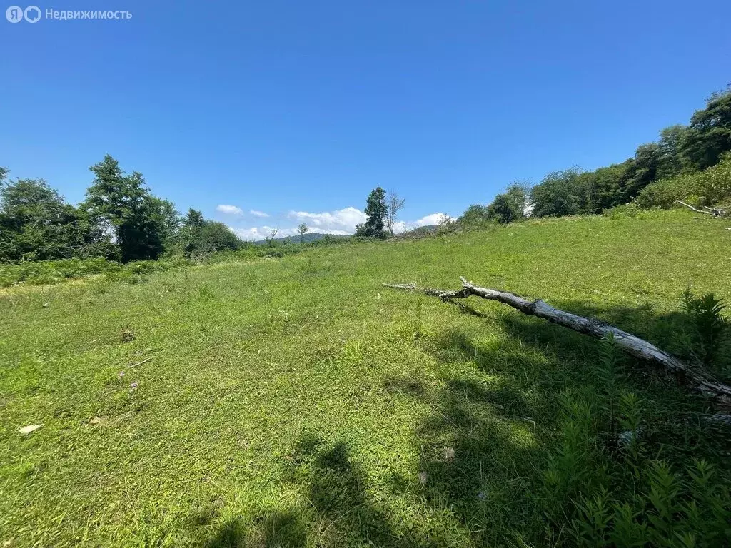 Участок в Краснодарский край, городской округ Сочи, село ... - Фото 1