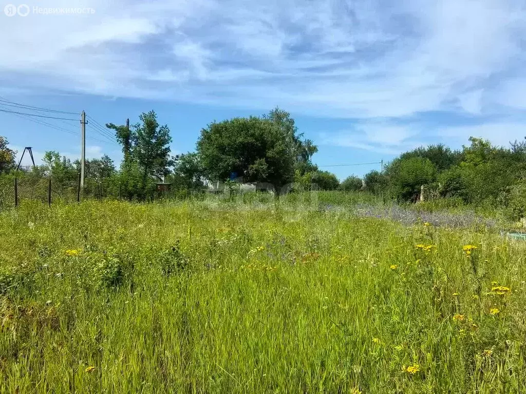 Участок в Саратов, СНТ Полуостров, 1-й Островной проезд (6.51 м) - Фото 1