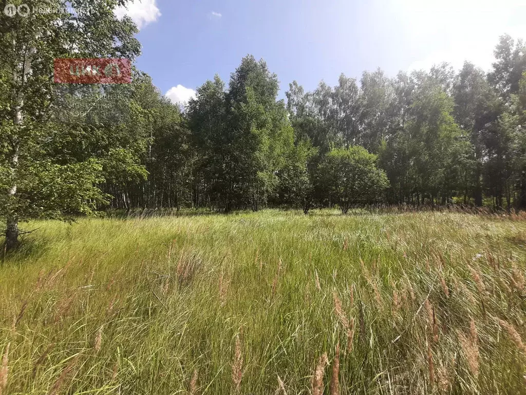 Участок в Рязанский муниципальный округ, посёлок Мурмино (15 м) - Фото 2