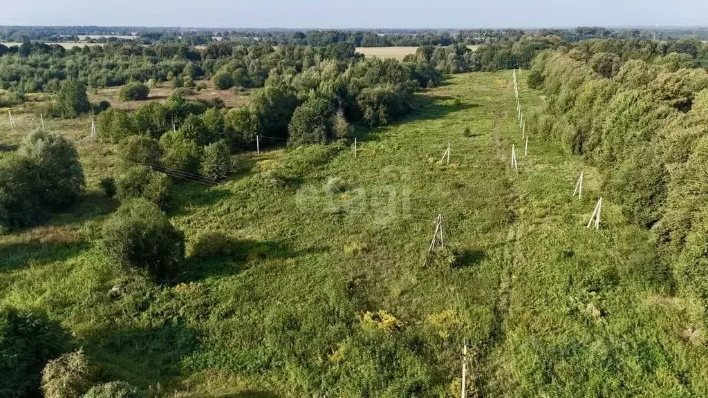 Участок в Калининградская область, Багратионовский муниципальный ... - Фото 0