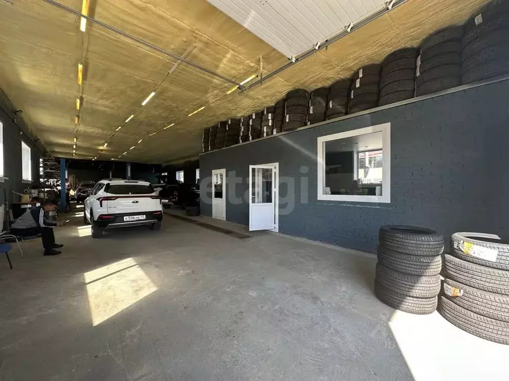 Помещение свободного назначения в Новосибирская область, Новосибирск ... - Фото 1