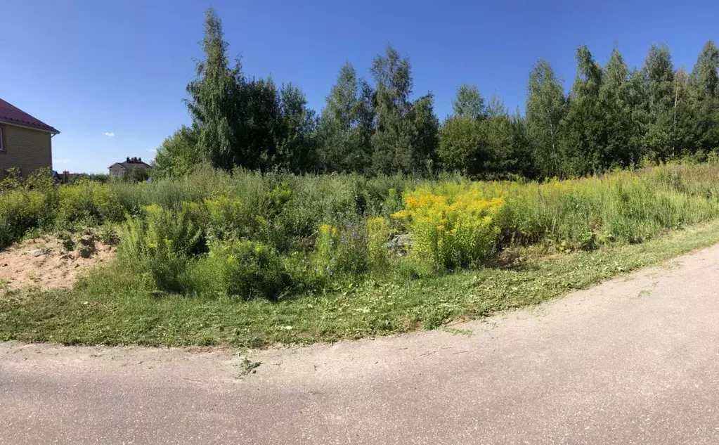 Участок в Нижегородская область, Нижний Новгород городской округ, д. ... - Фото 0