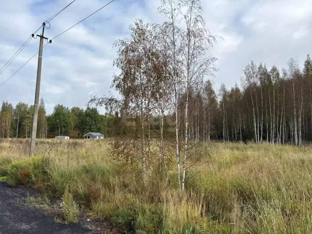 Участок в Ленинградская область, Всеволожский район, Куйвозовское ... - Фото 1