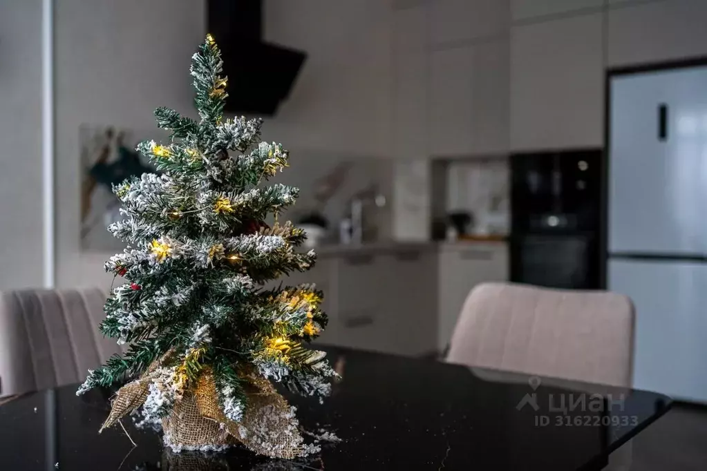 2-к кв. Нижегородская область, Нижний Новгород Большая Покровская ул., ... - Фото 2