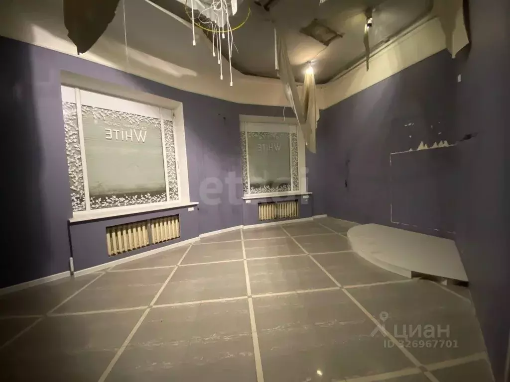 Помещение свободного назначения в Воронежская область, Воронеж ул. ... - Фото 1