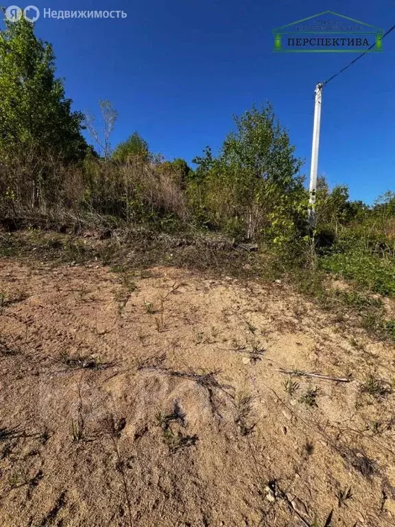 Участок в Приморский край, Артём (10 м) - Фото 1