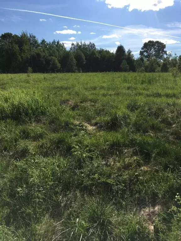 Участок в Тверская область, Калининский муниципальный округ, д. ... - Фото 2