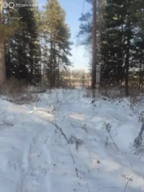 Участок в Верх-Бийск, улица Заимка Кузенская (21.67 м) - Фото 2