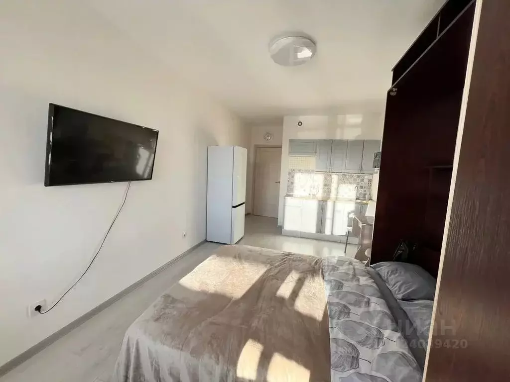 Студия Санкт-Петербург просп. Ветеранов, 181 (24.0 м) - Фото 2