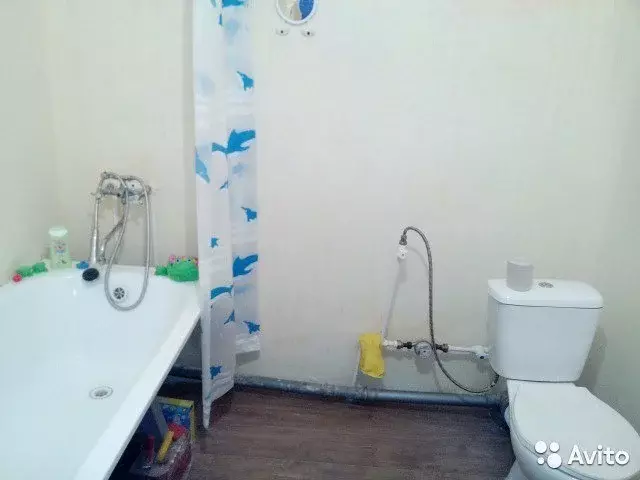 дом в красном куте. красный кут комсомольская 56. рабочая 151 красный кут. красный кут дом 17 квартира 14. красный кут ул комсомольская.