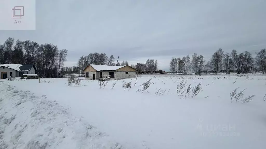 Участок в Алтайский край, Первомайский район, с. Фирсово ул. Ивана ... - Фото 2