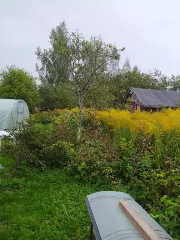 Участок в Смоленская область, Смоленск Кристалл СТ, 29 (6.0 сот.) - Фото 2