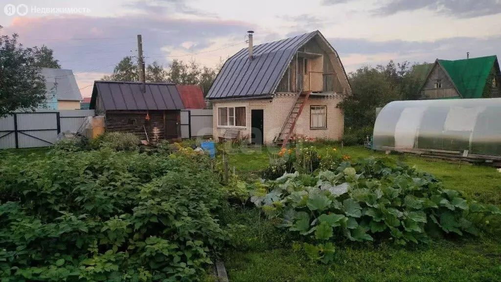 Дом в Курган, СНТ Мостовик (50 м) - Фото 0