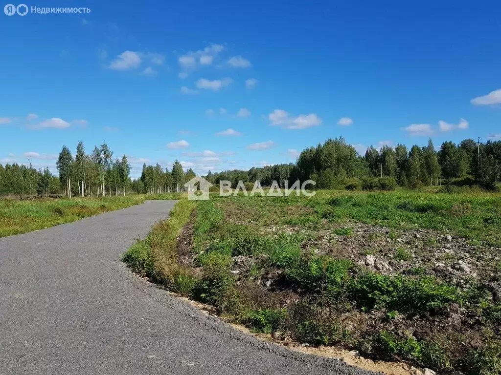 Участок в Куйвозовское сельское поселение, КП Белкино-3 (1009 м) - Фото 1