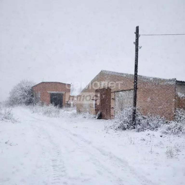 Склад в Курская область, Щигровский район, Касиновский сельсовет, д. ... - Фото 1