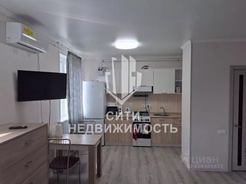 Студия Московская область, Одинцовский городской округ, д. Солманово, ... - Фото 2