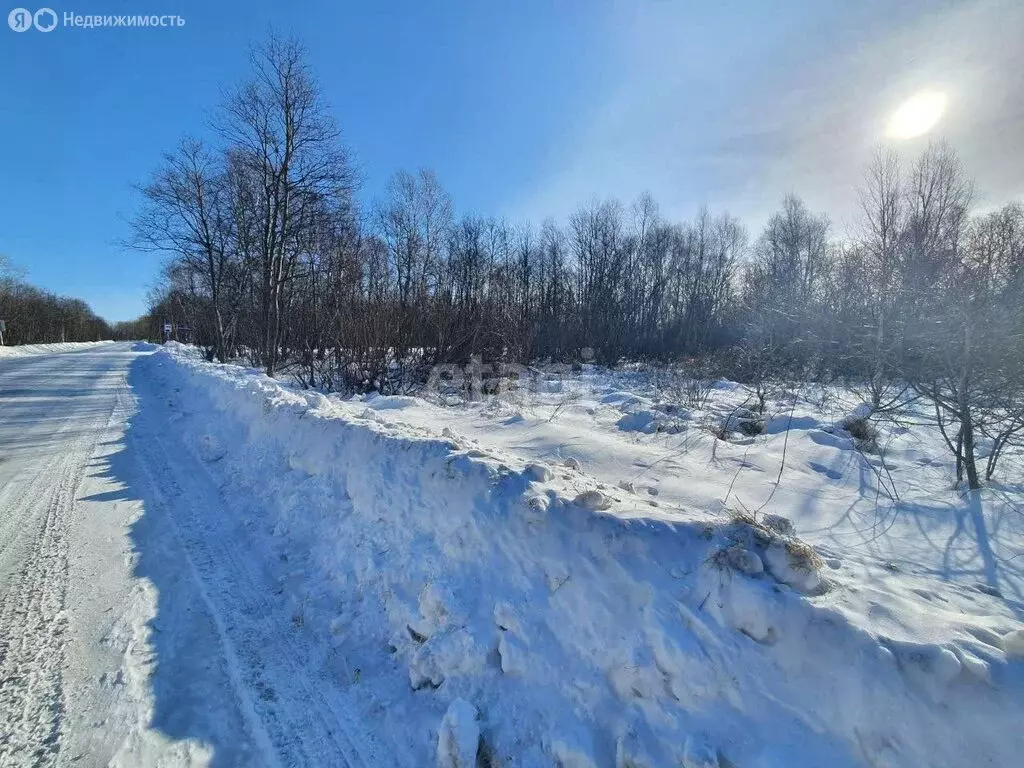 Участок в Елизовский район, СНТ Домостроитель-1 (45 м) - Фото 1