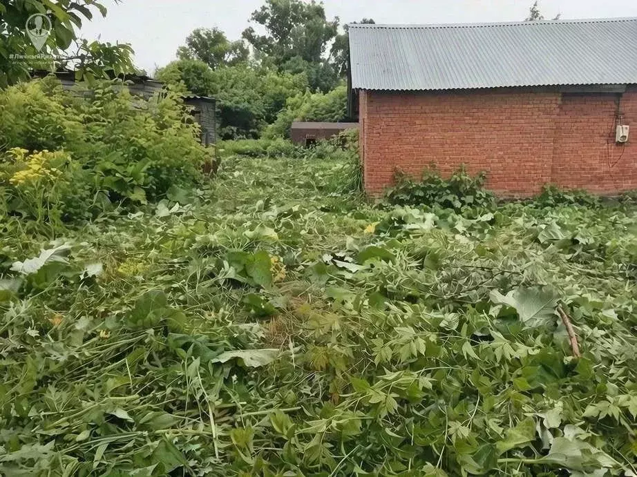 Участок в Рязанская область, Захаровский муниципальный округ, с. ... - Фото 1