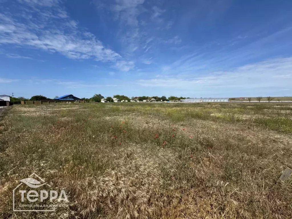 Участок в Крым, Черноморский район, Окуневское с/пос, с. Знаменское ... - Фото 2