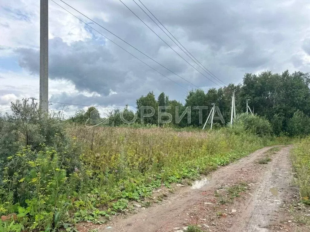 Участок в Тюменская область, Тюменский муниципальный округ, с. ... - Фото 1