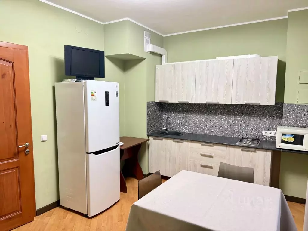 1-к кв. Псковская область, Псковский муниципальный округ, д. Родина ... - Фото 2