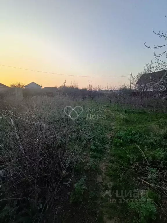 Участок в Волгоградская область, Городищенский район, Царицынское ... - Фото 0