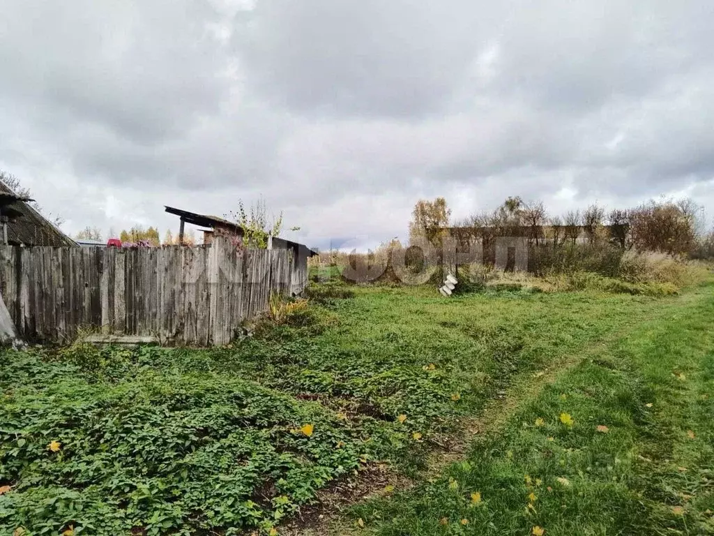 Участок в Брянская область, Брянский район, Новосельское с/пос, д. ... - Фото 2