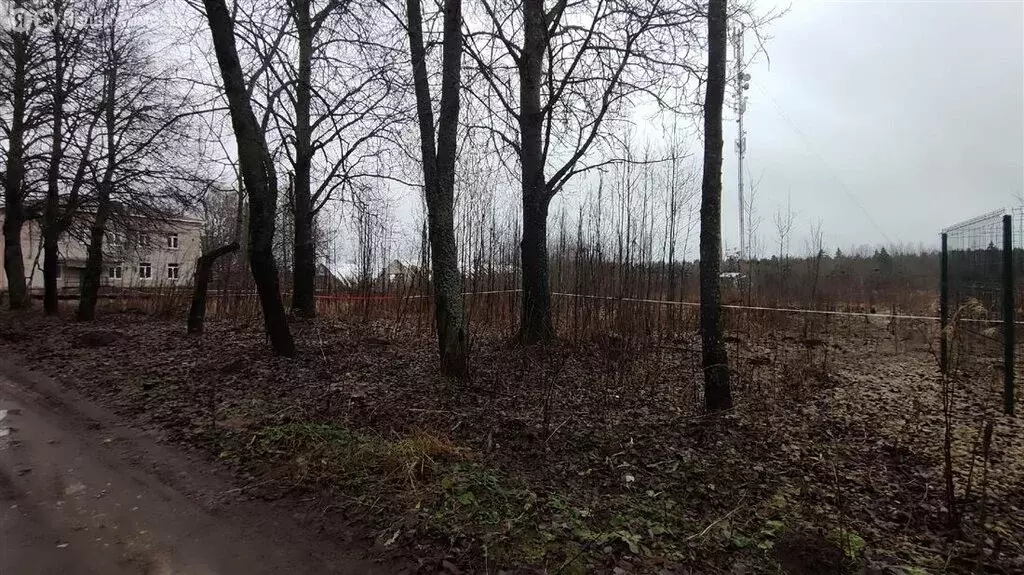 Участок в Ленинградская область, Гатчинский муниципальный округ, ... - Фото 1