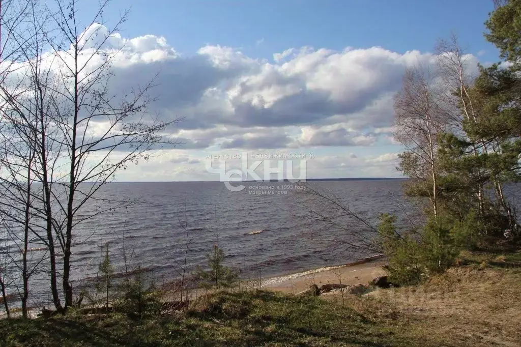 Участок в Нижегородская область, Сокольский городской округ, д. ... - Фото 0