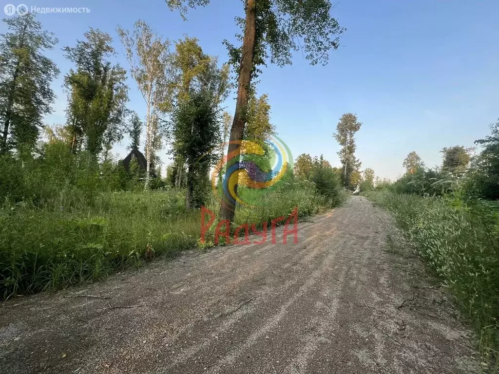 Участок в Иваново (3.5 м) - Фото 1