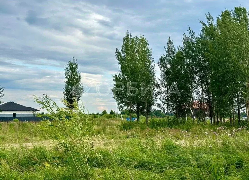 Участок в Тюменская область, Тюменский район, с. Перевалово ул. ... - Фото 1