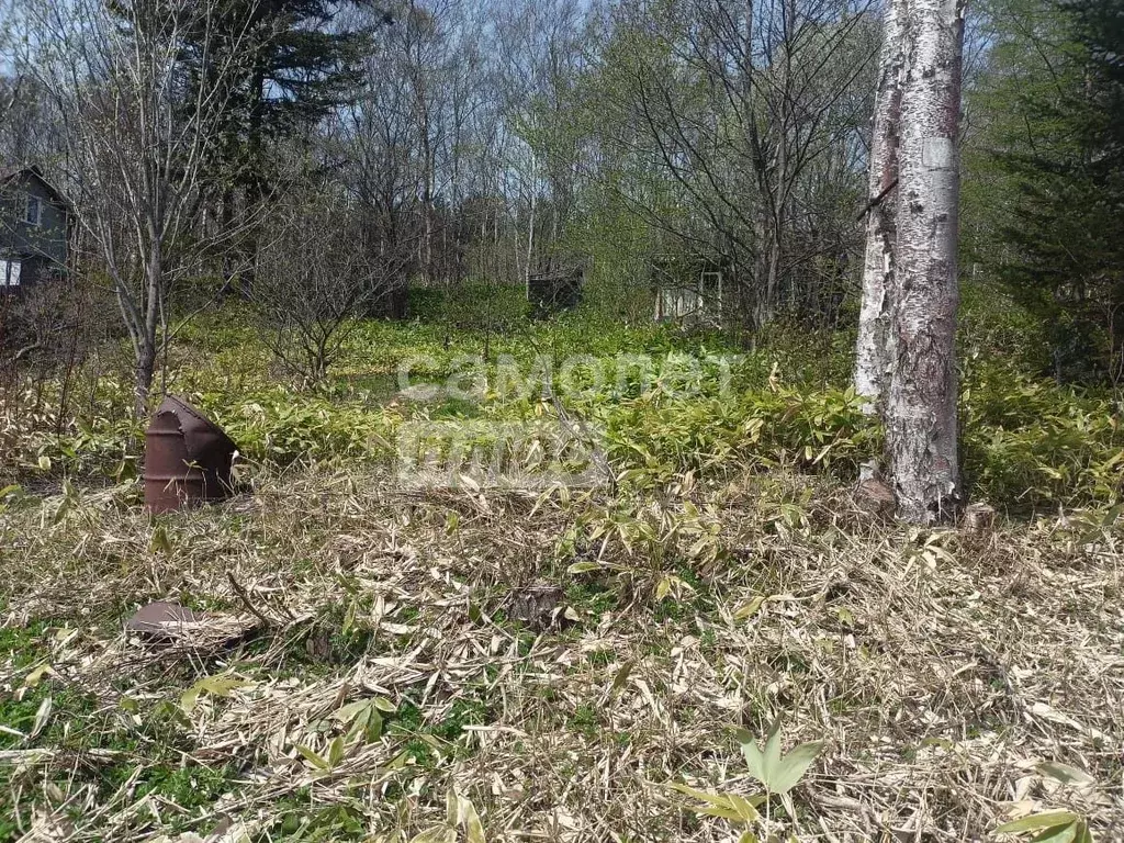 Участок в Сахалинская область, Анивский муниципальный округ, Ягодка ... - Фото 2