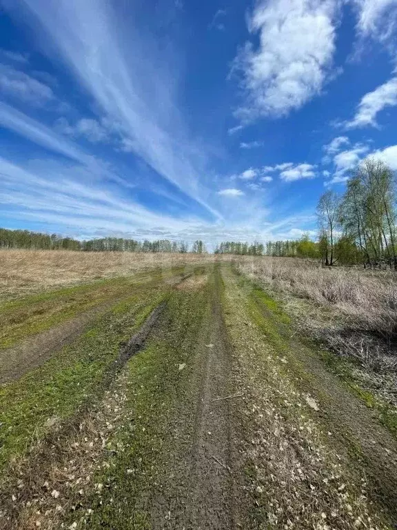 Участок в Челябинская область, Увельский муниципальный округ, ... - Фото 1