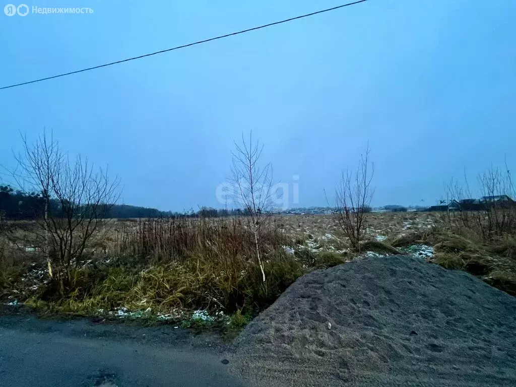 Участок в Калининградская область, Гурьевский муниципальный округ, ... - Фото 1
