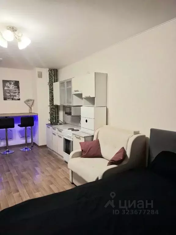 Студия Санкт-Петербург дор. Кушелевская, 3к10 (32.4 м) - Фото 2