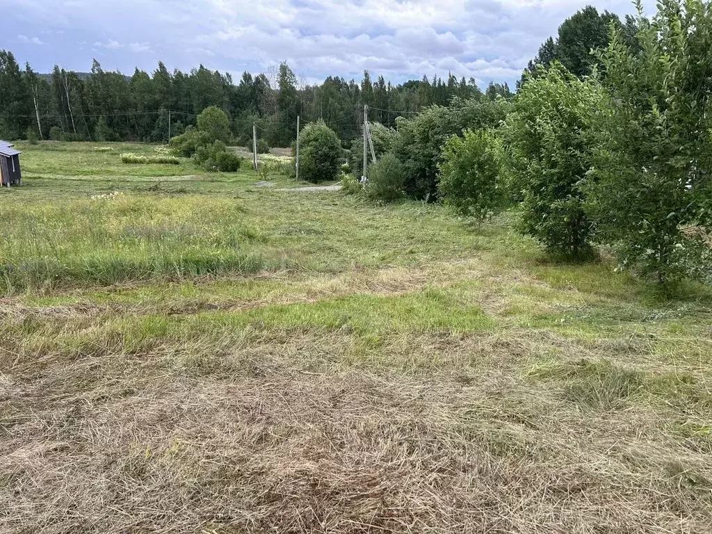 Участок в Ленинградская область, Выборгский район, Рощинское городское ... - Фото 1