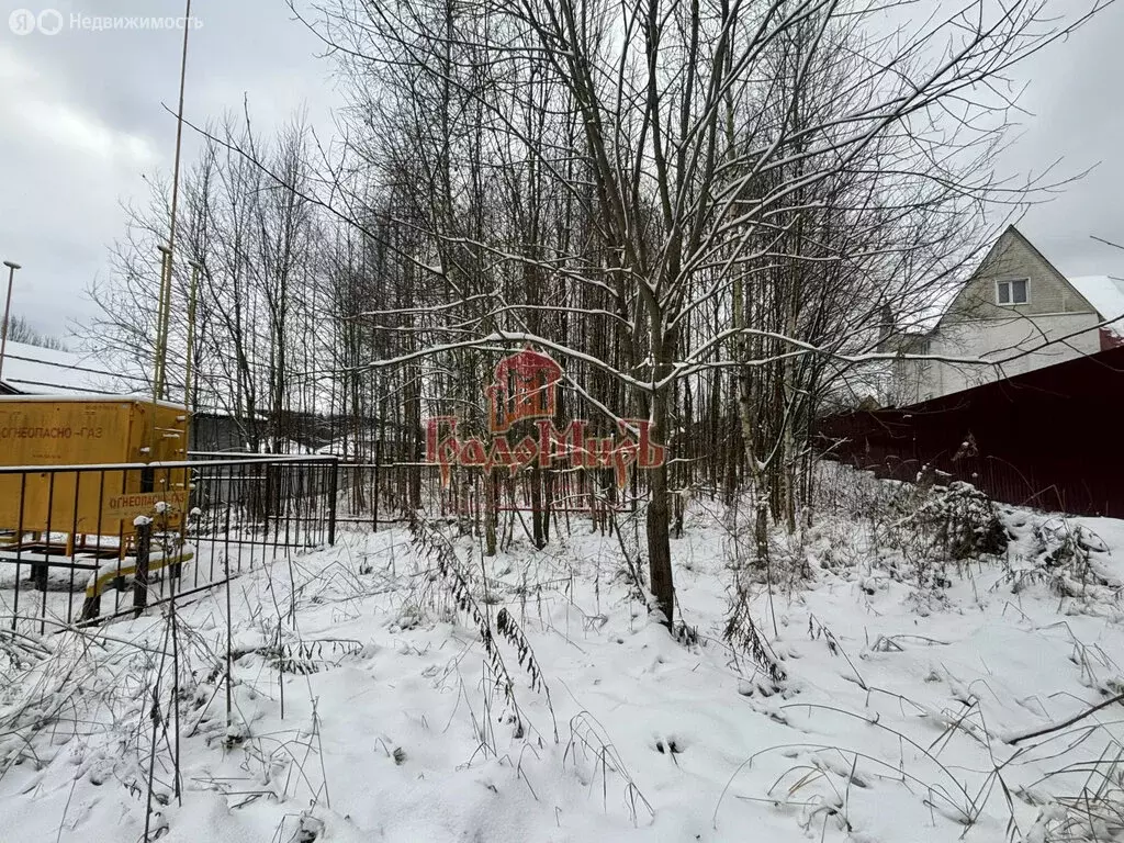 Участок в Сергиево-Посадский городской округ, деревня Новинки (13.5 м) - Фото 1